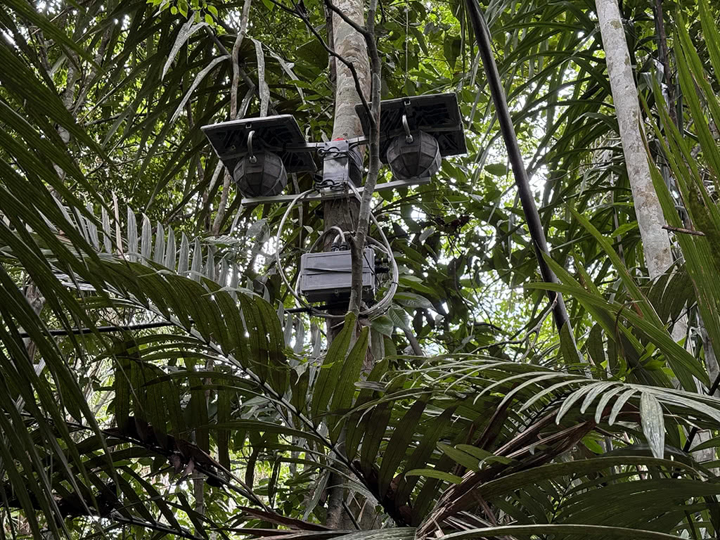The dedicated recording setup for Spiral of Time installed in the Amazon Rainforest